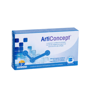 ArtiConcept