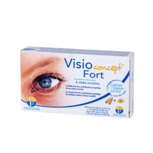 Visio Concept Fort